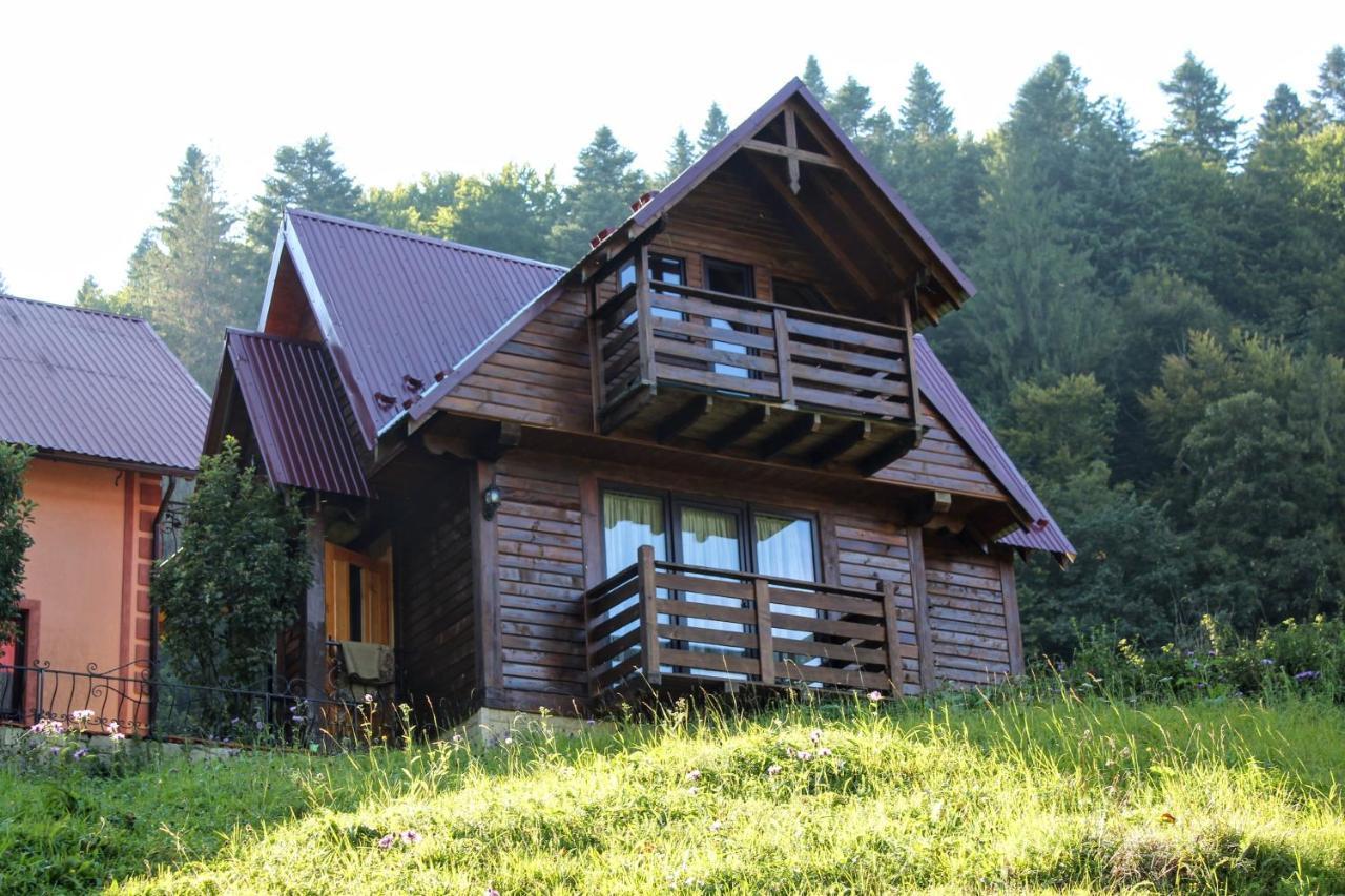 Cottage "Karpatske Shale" ยาเรมชา ภายนอก รูปภาพ