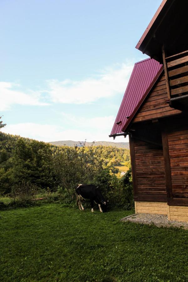 Cottage "Karpatske Shale" ยาเรมชา ภายนอก รูปภาพ