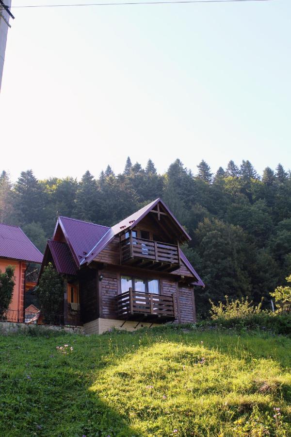Cottage "Karpatske Shale" ยาเรมชา ภายนอก รูปภาพ