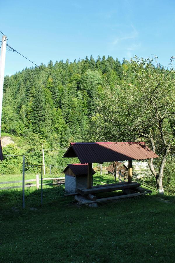 Cottage "Karpatske Shale" ยาเรมชา ภายนอก รูปภาพ