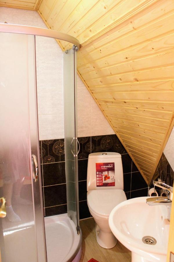 Cottage "Karpatske Shale" ยาเรมชา ภายนอก รูปภาพ
