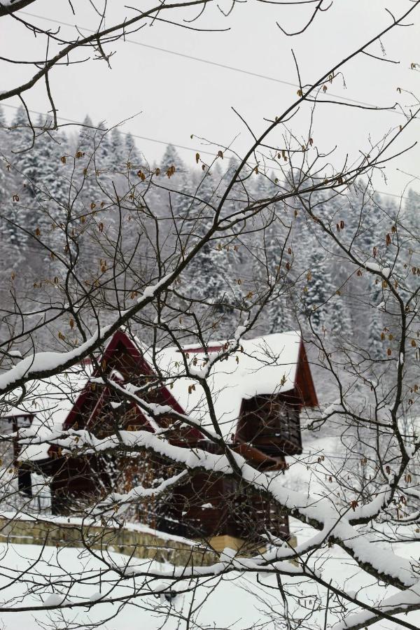 Cottage "Karpatske Shale" ยาเรมชา ภายนอก รูปภาพ