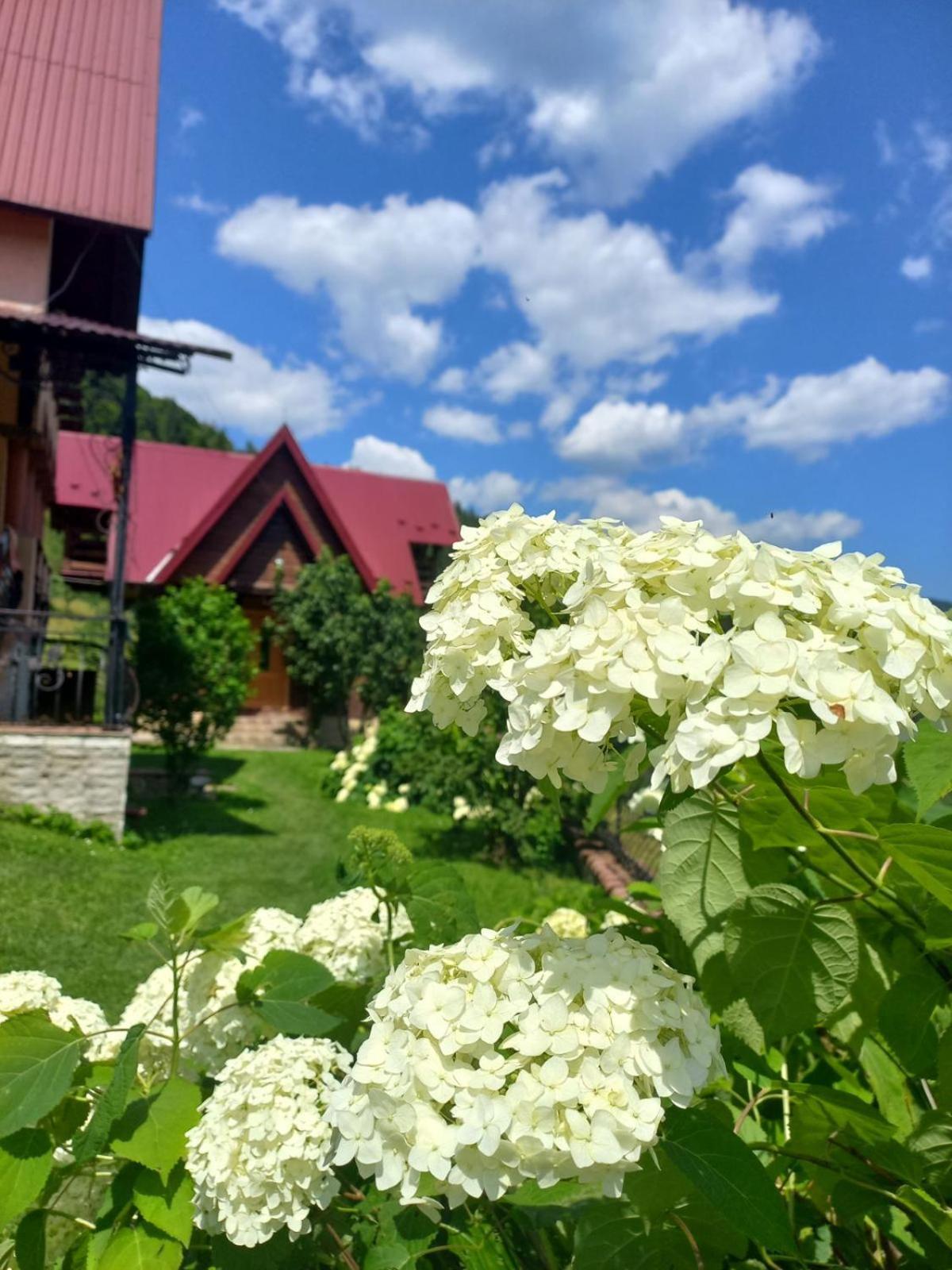 Cottage "Karpatske Shale" ยาเรมชา ภายนอก รูปภาพ