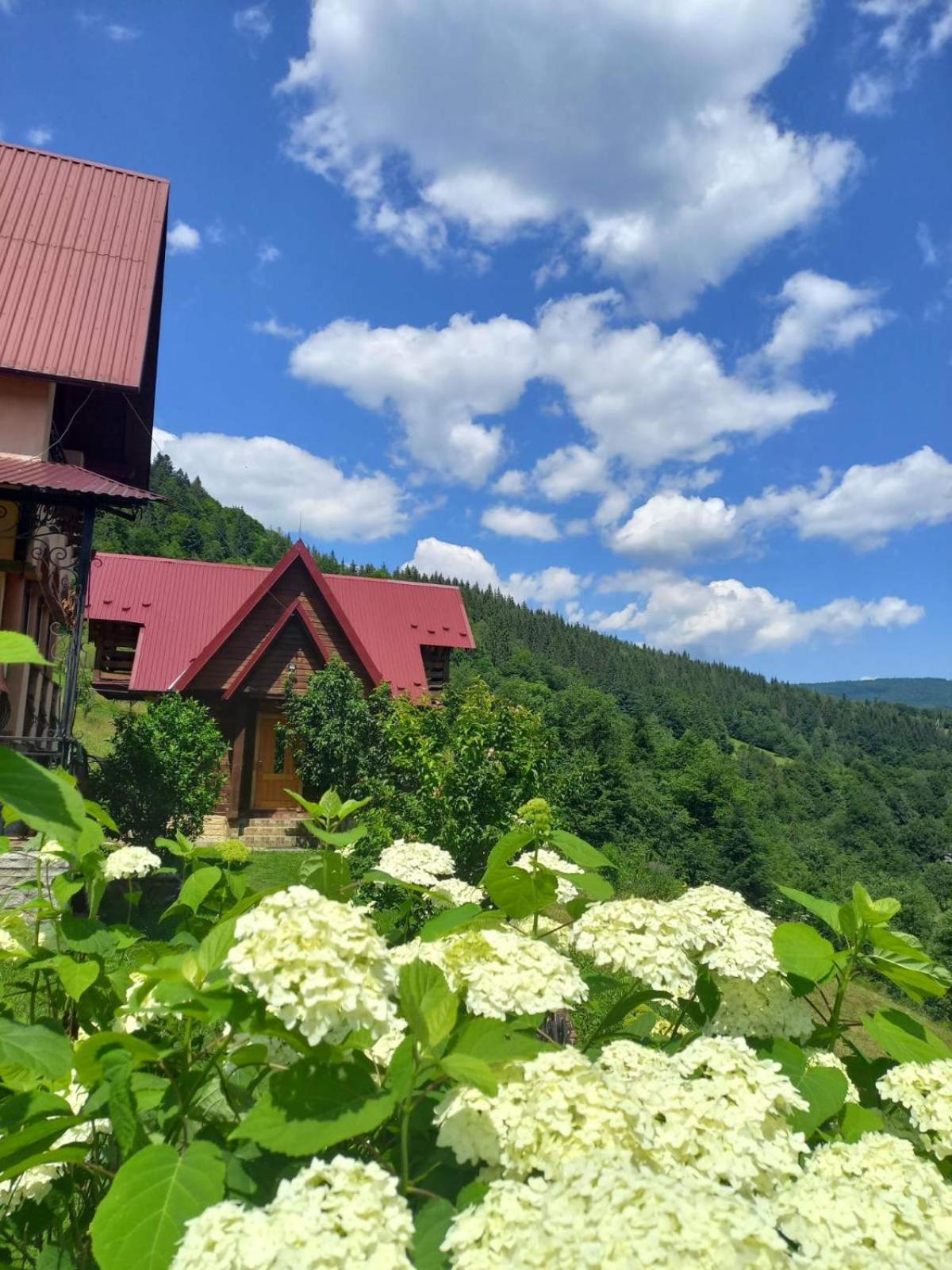 Cottage "Karpatske Shale" ยาเรมชา ภายนอก รูปภาพ